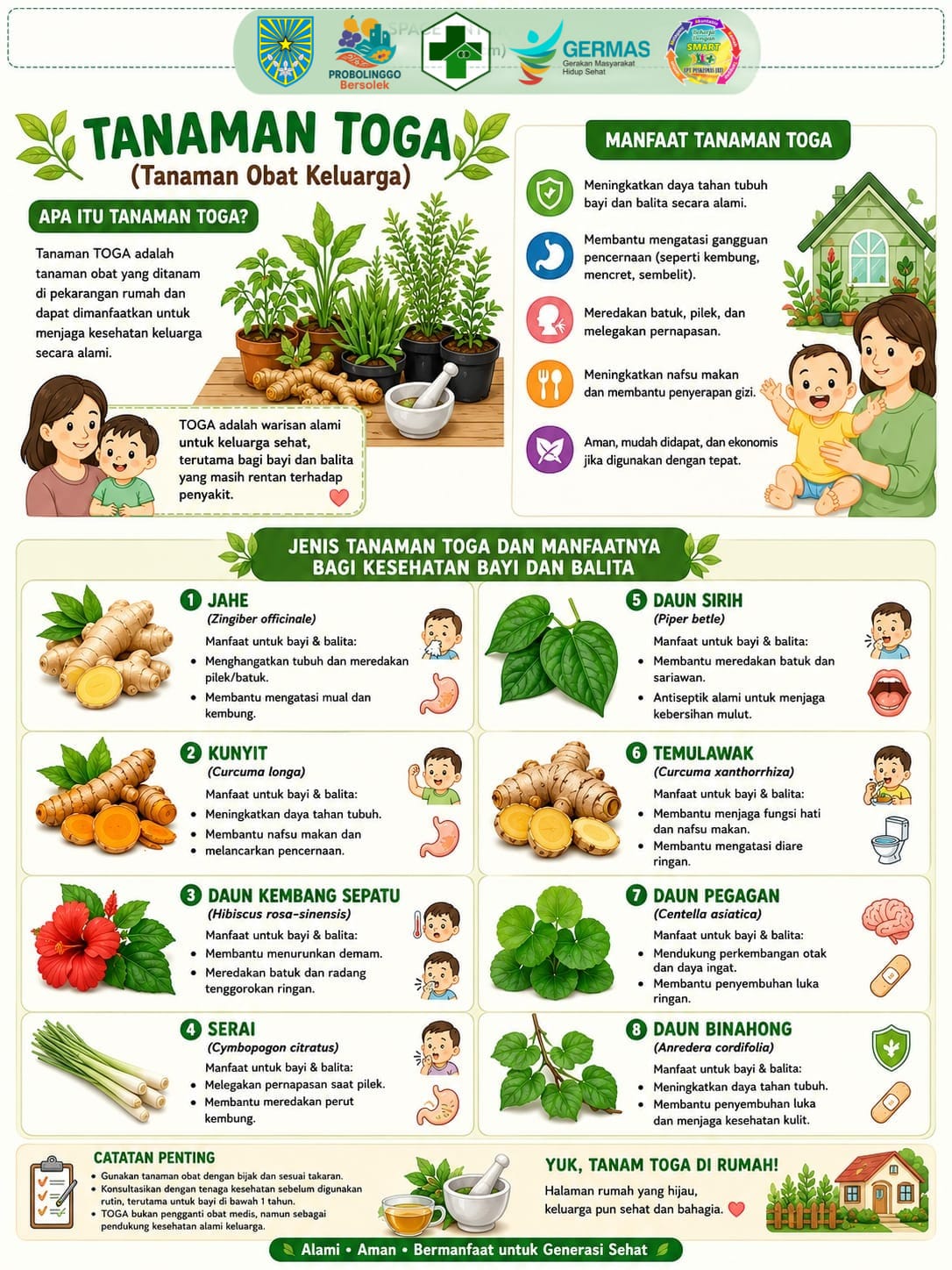 infografis