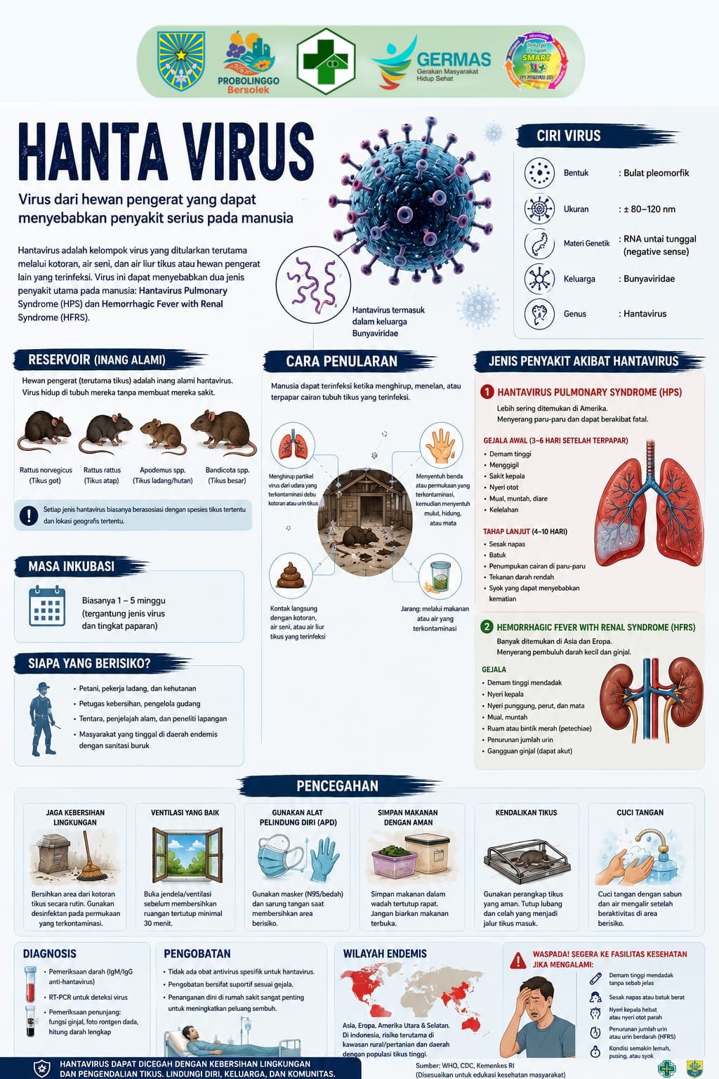 infografis